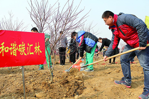 碳汇扶贫，植树造林——播撒绿色，美化村庄