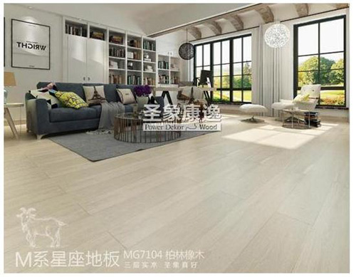圣象“M系”星座地板淮安震撼发布