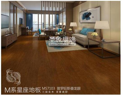 圣象“M系”星座地板淮安震撼发布