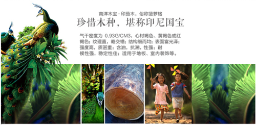 印尼国宝，雨林皇冠——安信印茄木地板