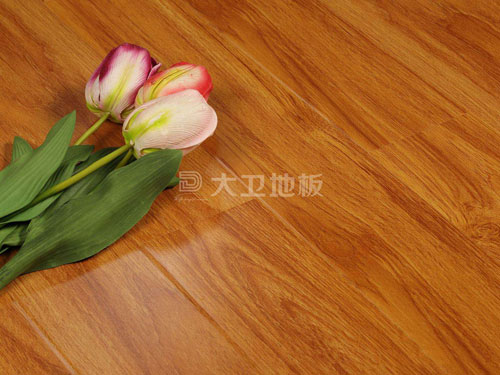 大卫地板：自然舒适 健康生活