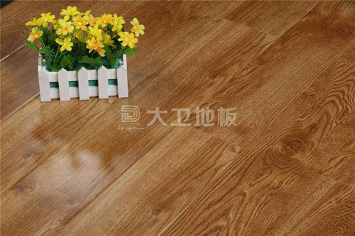 大卫地板：自然舒适 健康生活