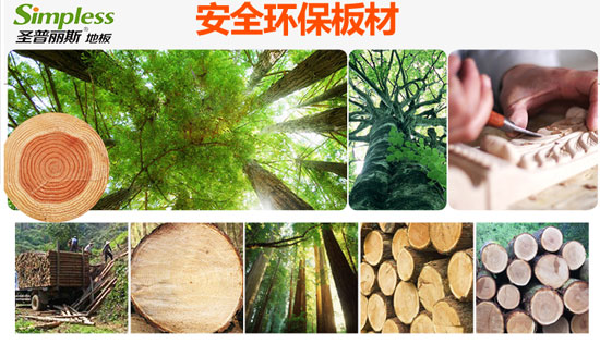 知名木地板品牌|圣普丽斯为爱而生，有温度的木地板