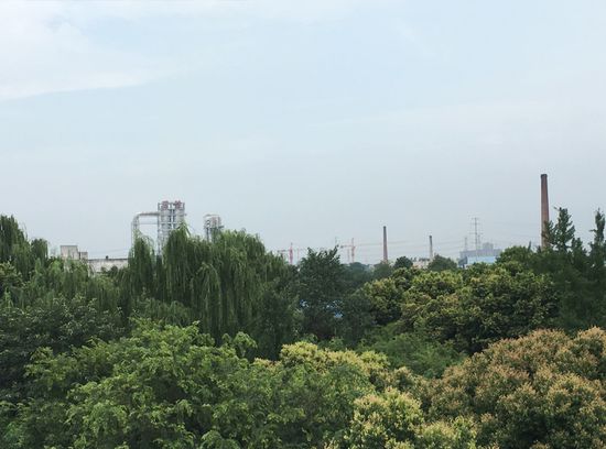 实地探访升达木地板制造工艺，零距离了解升达匠心品质！