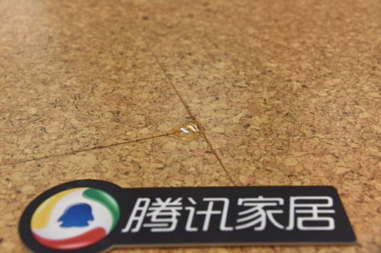 家居装饰中的优良选择 得高Wicanders软木地板测评