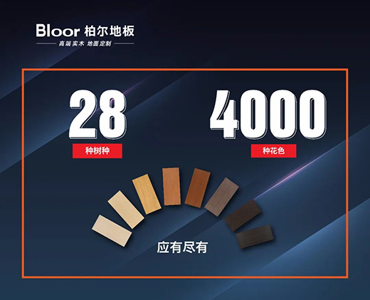 柏尔引领地板行业“直播+”时代