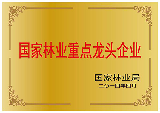 行业新高度!巨宁地板全线实现E0环保标准