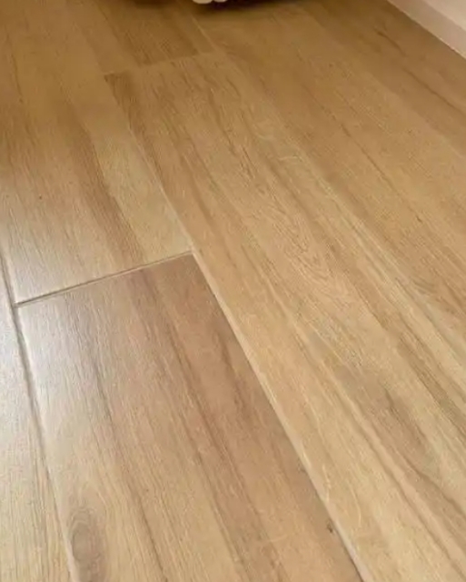 宠物拆家新战场：猫主子把橡木地板刨成“三星堆面具”